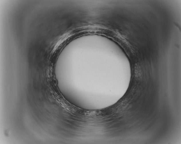 X0000100411352200806201749