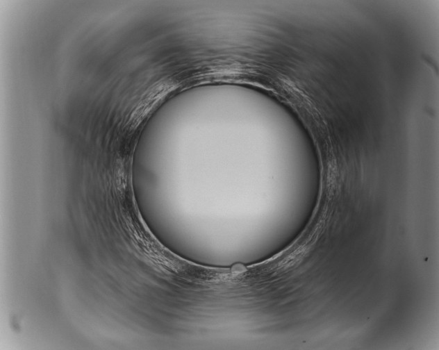 X0000100411353200806201749