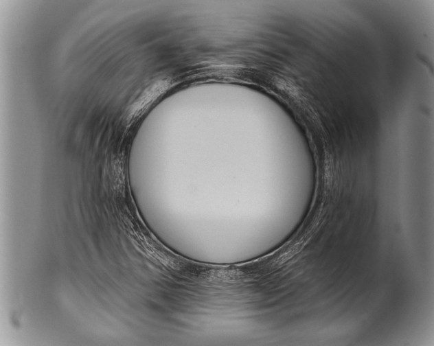 X0000100411354200806201749