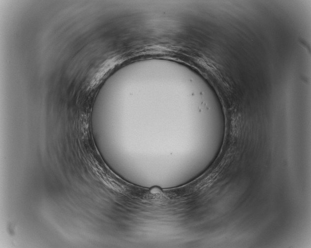 X0000100411355200806201749