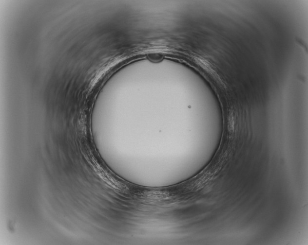 X0000100411356200806201749