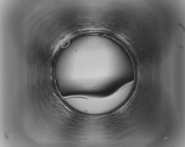 X0000100411357200806201749