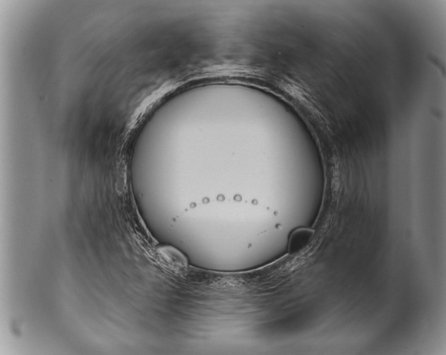 X0000100411358200806201749