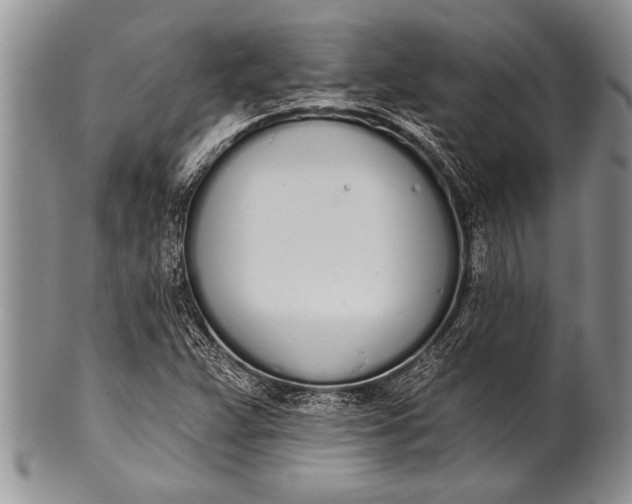 X0000100411359200806201749