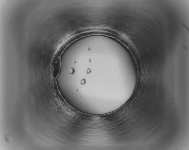 X0000100411360200806201749