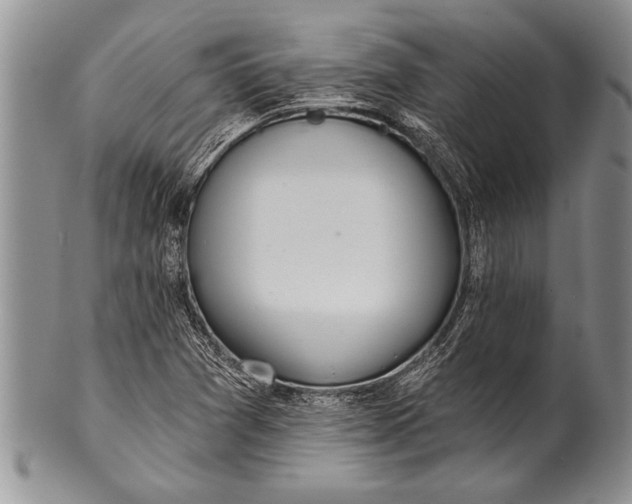 X0000100411361200806201749