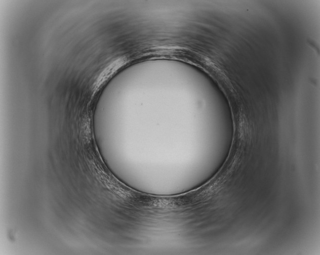 X0000100411362200806201749