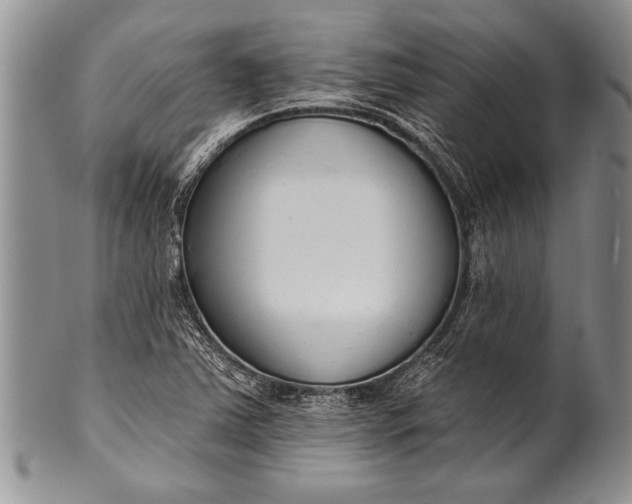 X0000100411363200806201749