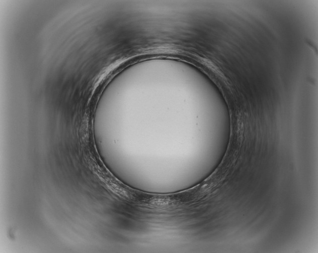 X0000100411364200806201749