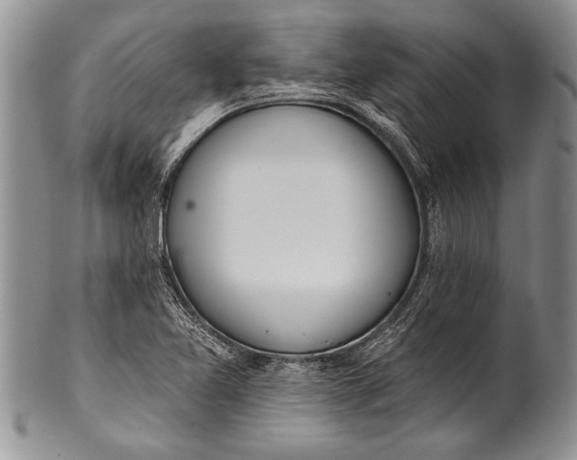 X0000100411365200806201749