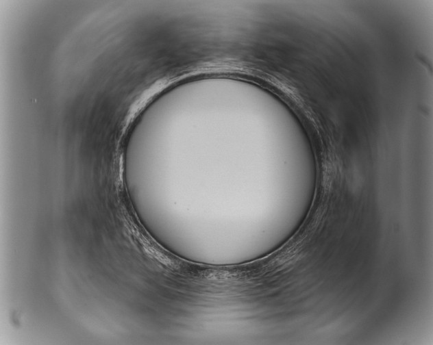 X0000100411366200806201749