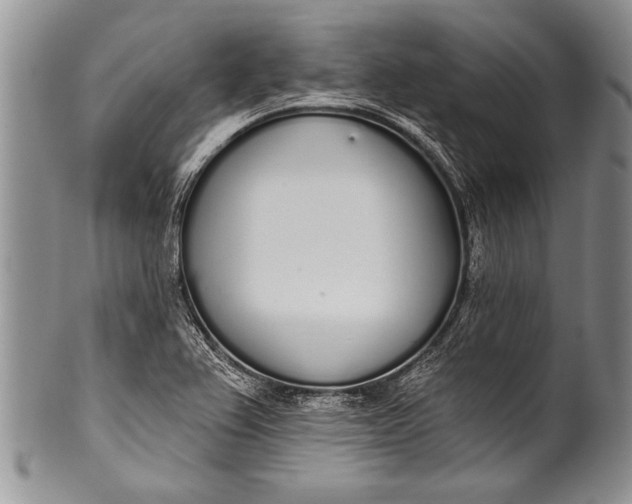 X0000100411367200806201749