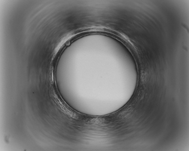 X0000100411368200806201749