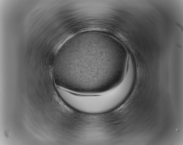 X0000100411369200806201749