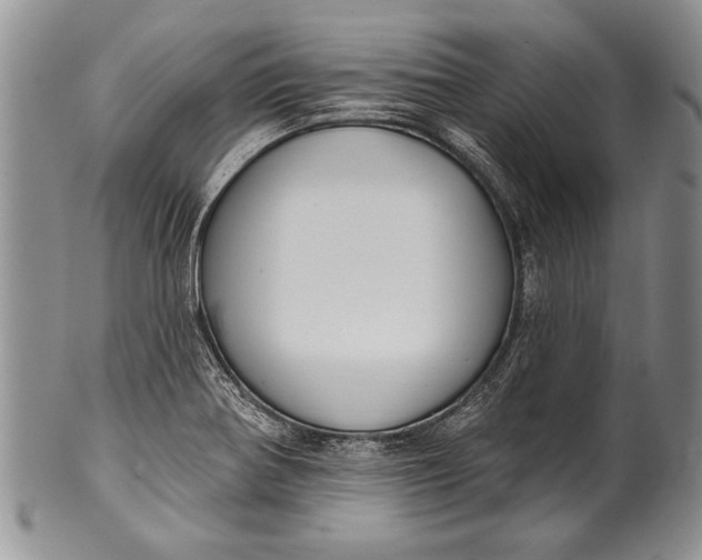 X0000100411370200806201749