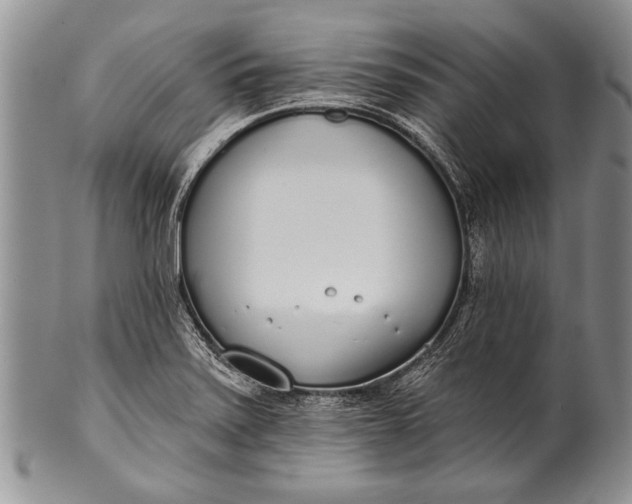 X0000100411371200806201749