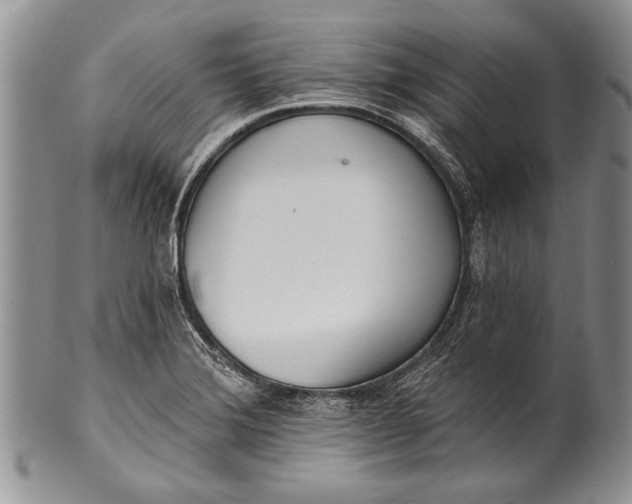 X0000100411372200806201749