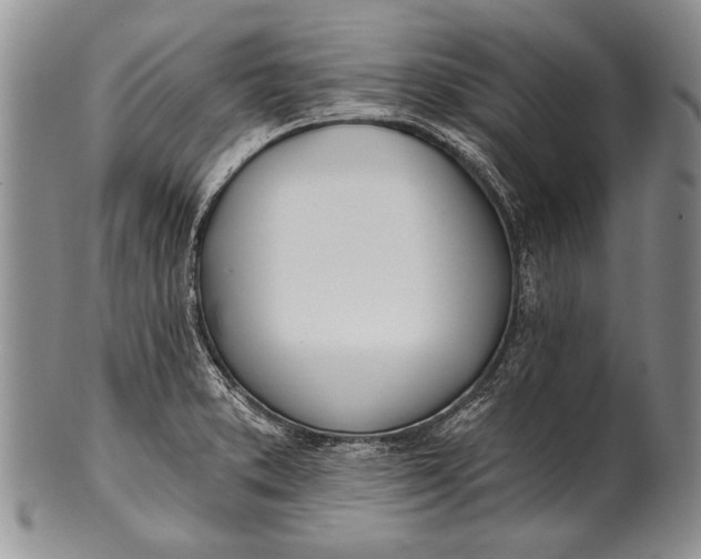 X0000100411373200806201749