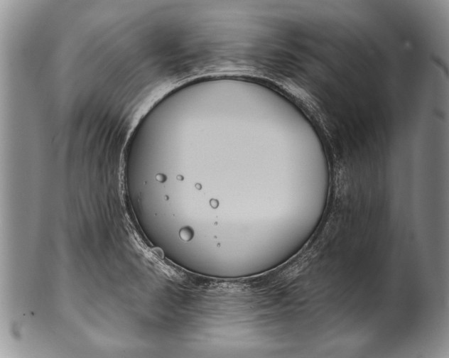 X0000100411374200806201749