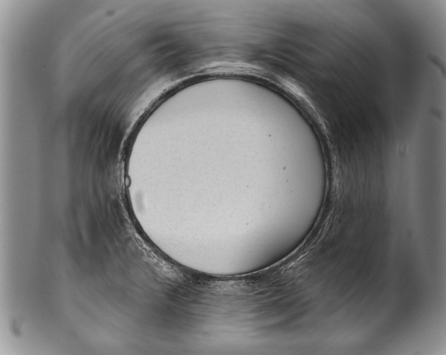 X0000100411376200806201749