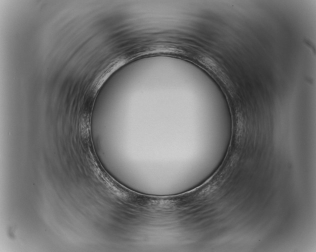 X0000100411377200806201749