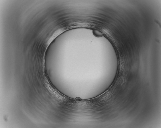 X0000100411378200806201749