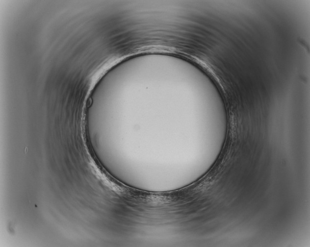 X0000100411379200806201749