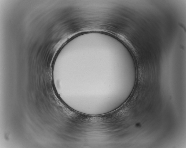 X0000100411380200806201749