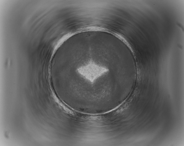 X0000100411381200806201749