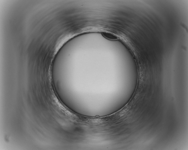 X0000100411382200806201749