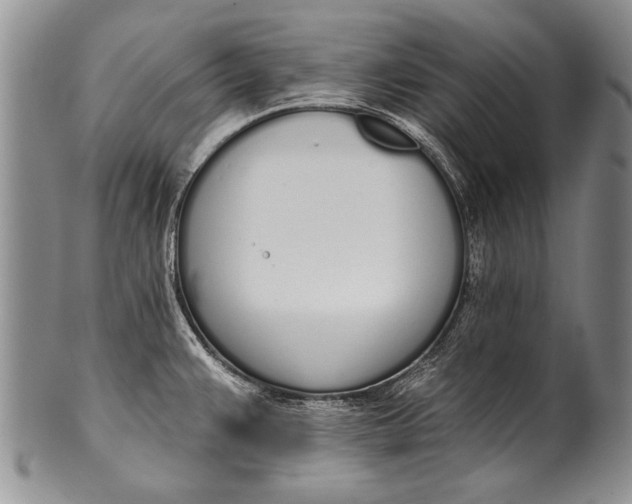 X0000100411383200806201749