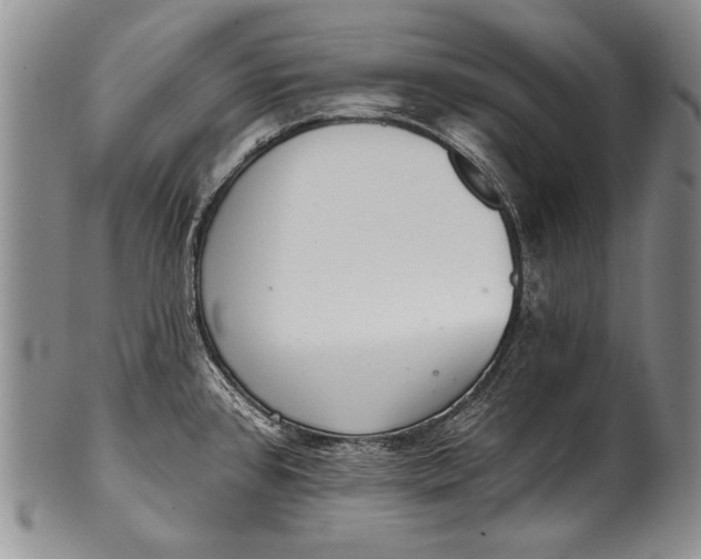 X0000100411384200806201749