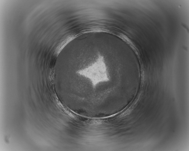 X0000100411385200806201749