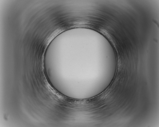 X0000100411386200806201749