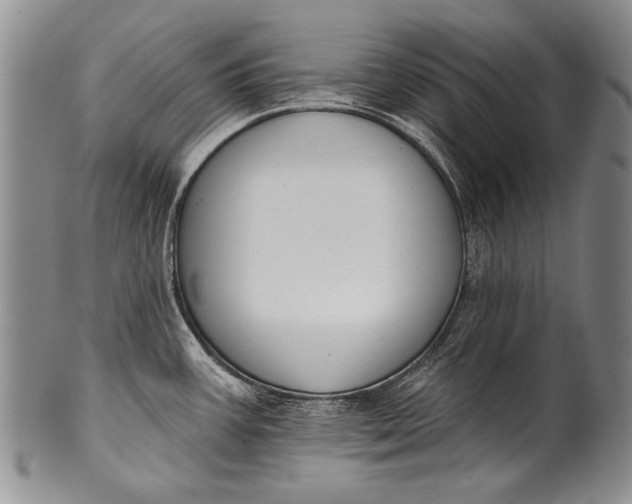 X0000100411387200806201749