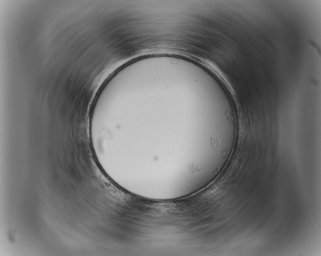 X0000100411388200806201749