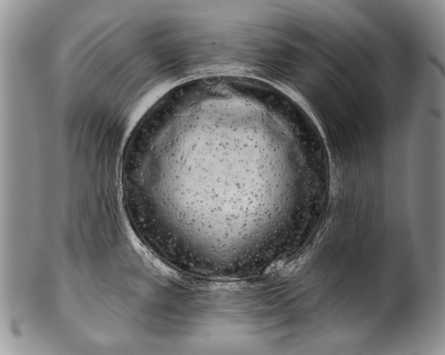 X0000100411389200806201749