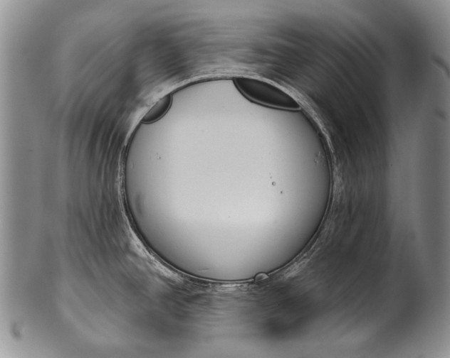 X0000100411390200806201749