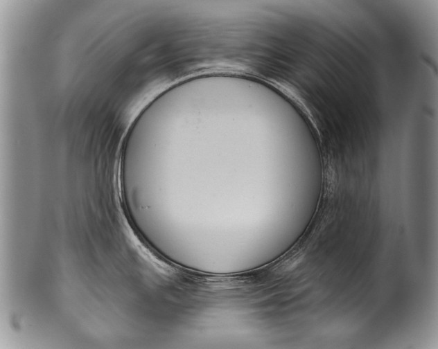 X0000100411391200806201749