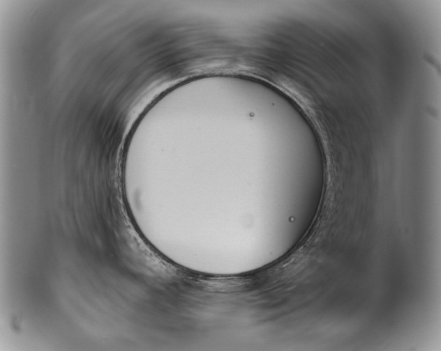 X0000100411392200806201749