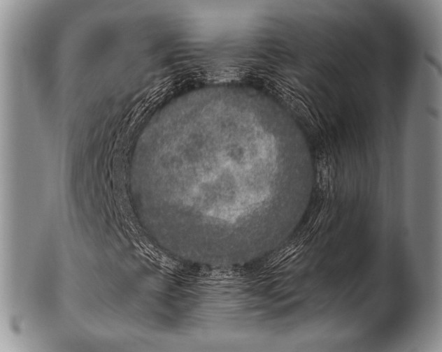 X0000100411393200806201748