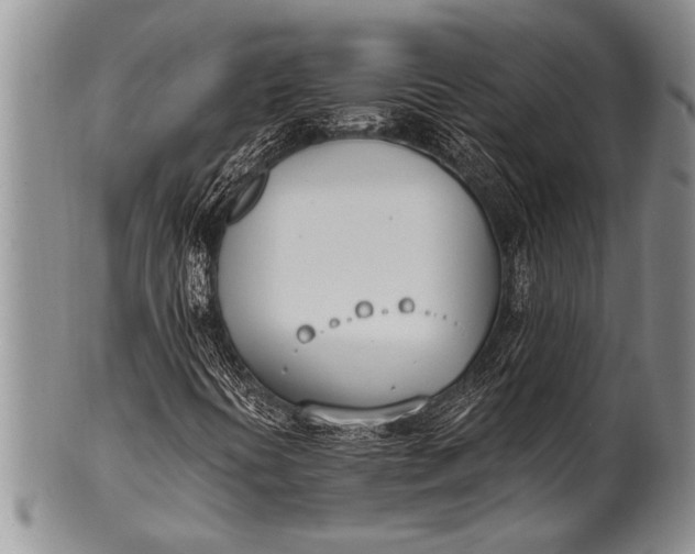 X0000100411394200806201748