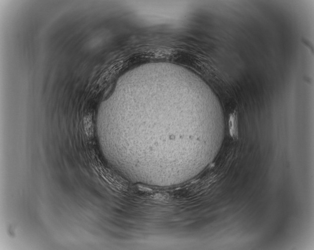 X0000100411395200806201748