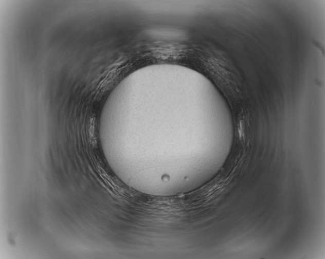 X0000100411396200806201748