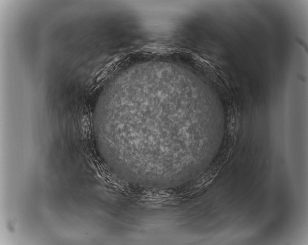 X0000100411397200806201748