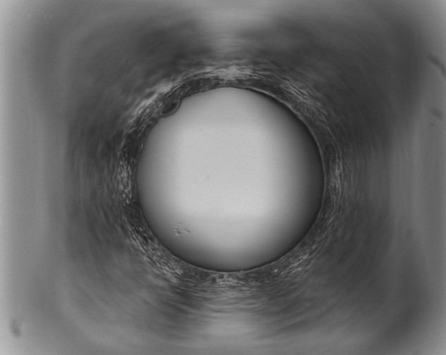 X0000100411398200806201748