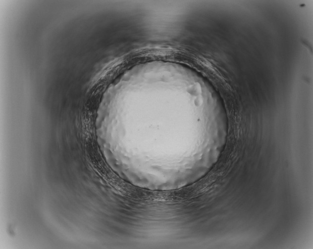 X0000100411399200806201748