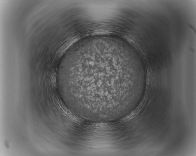 X0000100411401200806201748