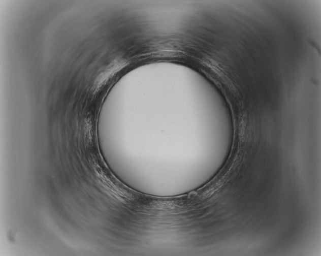 X0000100411402200806201748