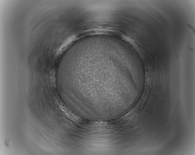 X0000100411403200806201748